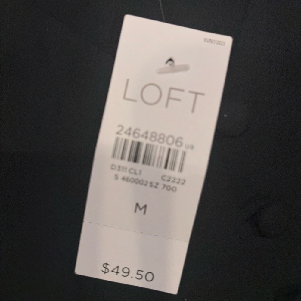 Dressy sheer like top(boutique)